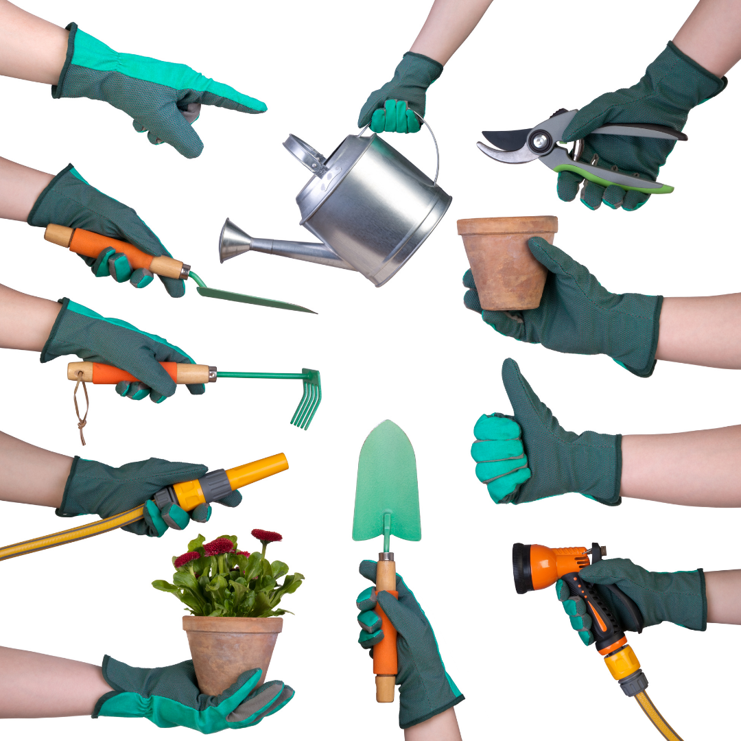 Hands holding gardening tools