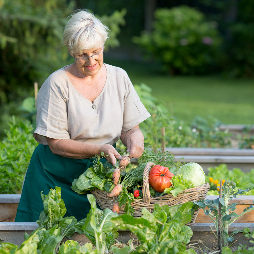 elderly woman in garden holding basket of vegetables